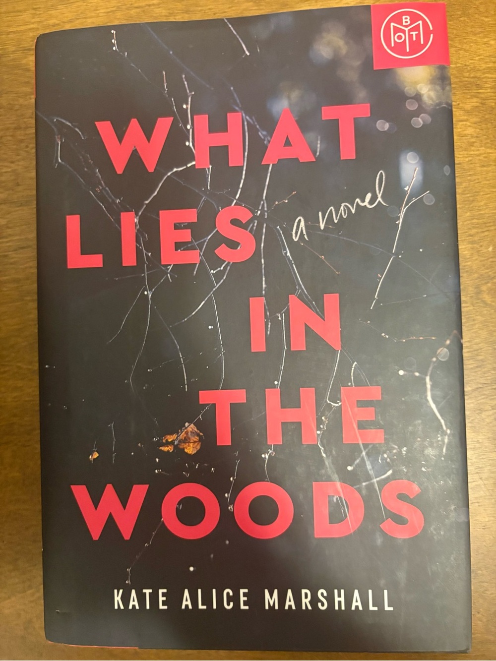 What Lies in the Woods - Black & Red Hardcover Novel
